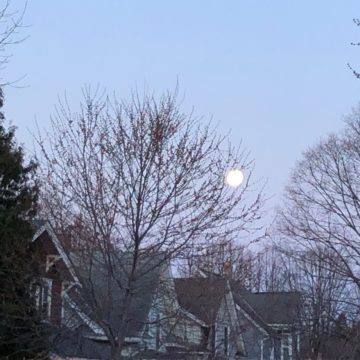 Passover moon 2 Passover moon 2