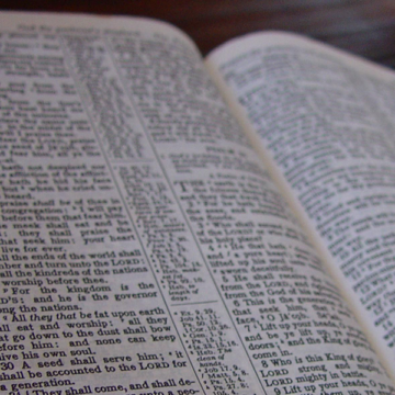 Bible Bible