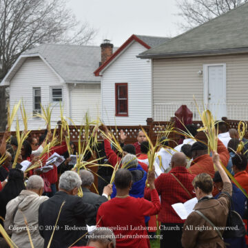Palm Sunday 2019 (2) Palm Sunday 2019 (2)