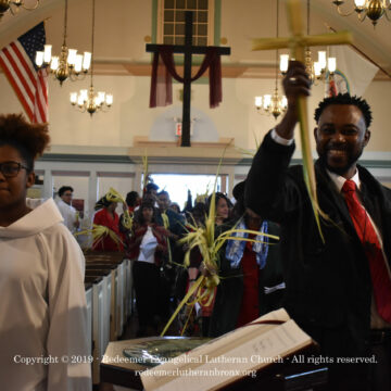 Palm Sunday 2019 (311) Palm Sunday 2019 (311)