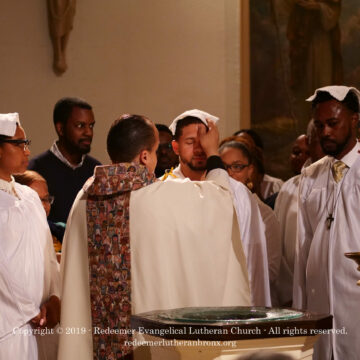 Easter Vigil 2019 (90) Easter Vigil 2019 (90)